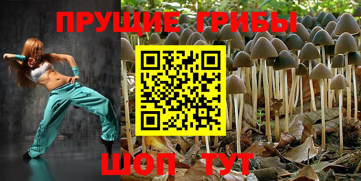 Галлюциногенные грибы Magic Shrooms  Псилоцибиновые грибы прущие грибы  Котовск  Вход с VPN 