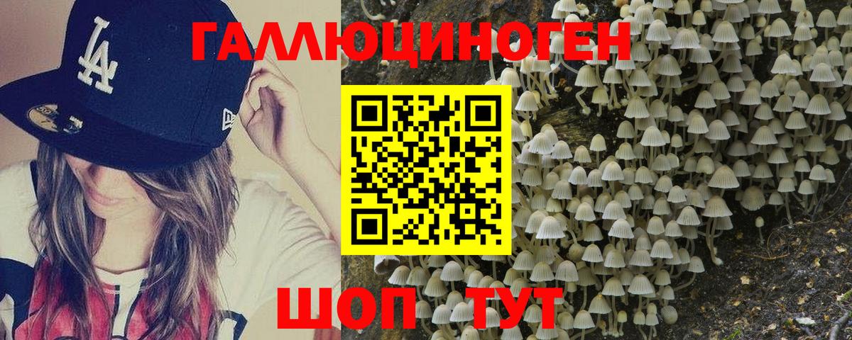 Галлюциногенные грибы ЛСД Котовск